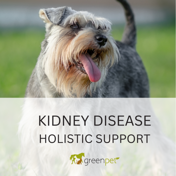 Canine Kidney Disease Holistic Support Guide