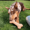 Loofah Bone Dental Toy - Image 4