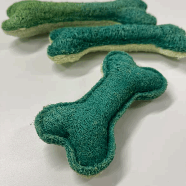 Loofah Bone Dental Toy
