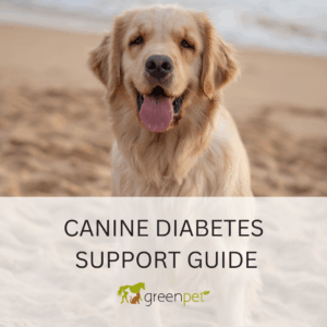 Canine Diabetes Holistic Support Guide