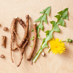 Dandelion Root