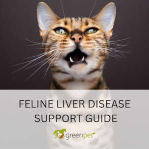 Feline Liver Disease Holistic Support Guide