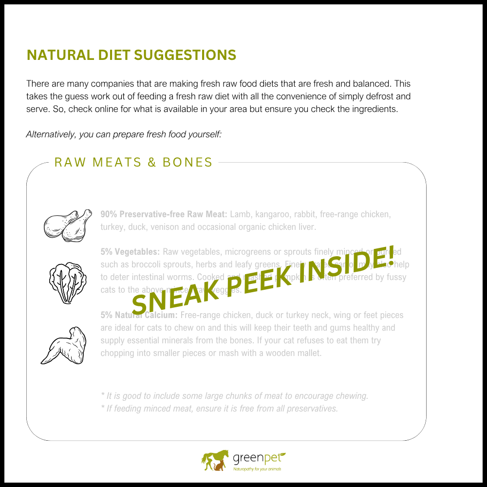 Canine Discoid Lupus Erythematosus (DLE) Holistic Support Guide - Image 3