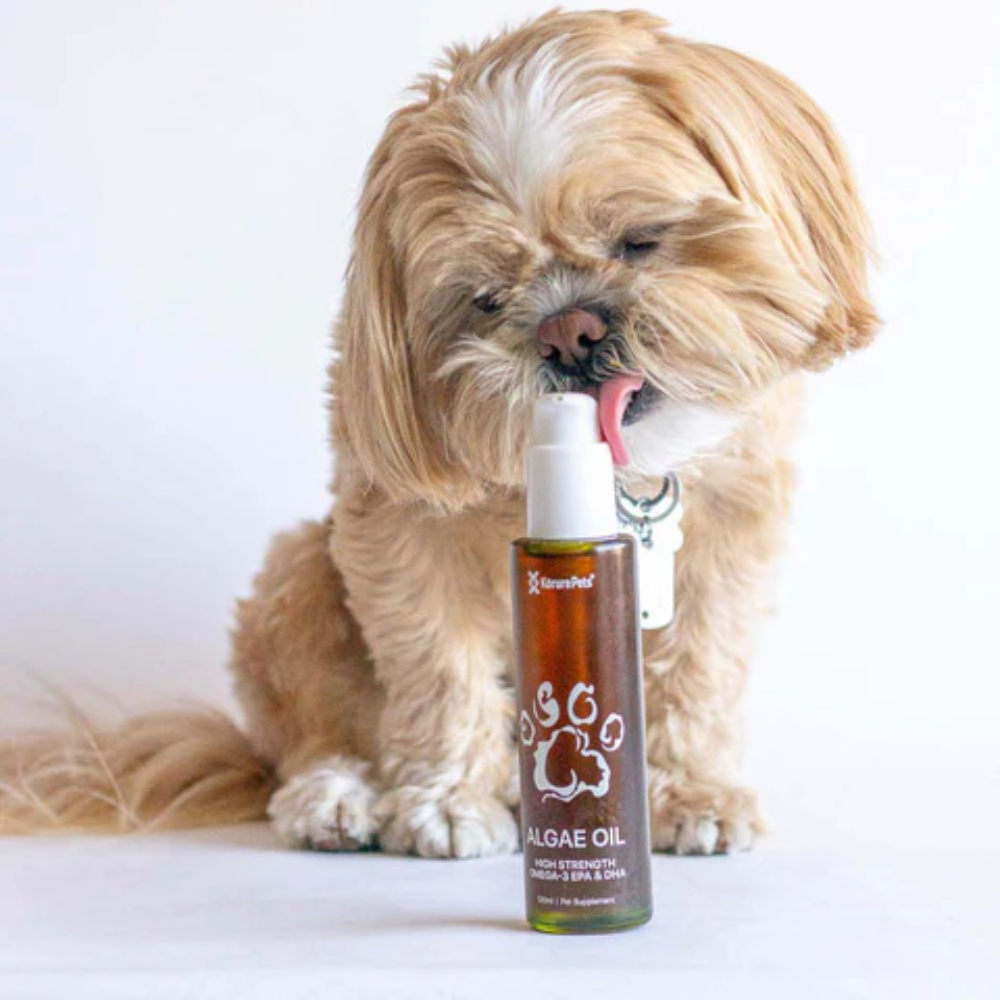 Korure Pets Algae Oil For Cats and Dogs - Image 2