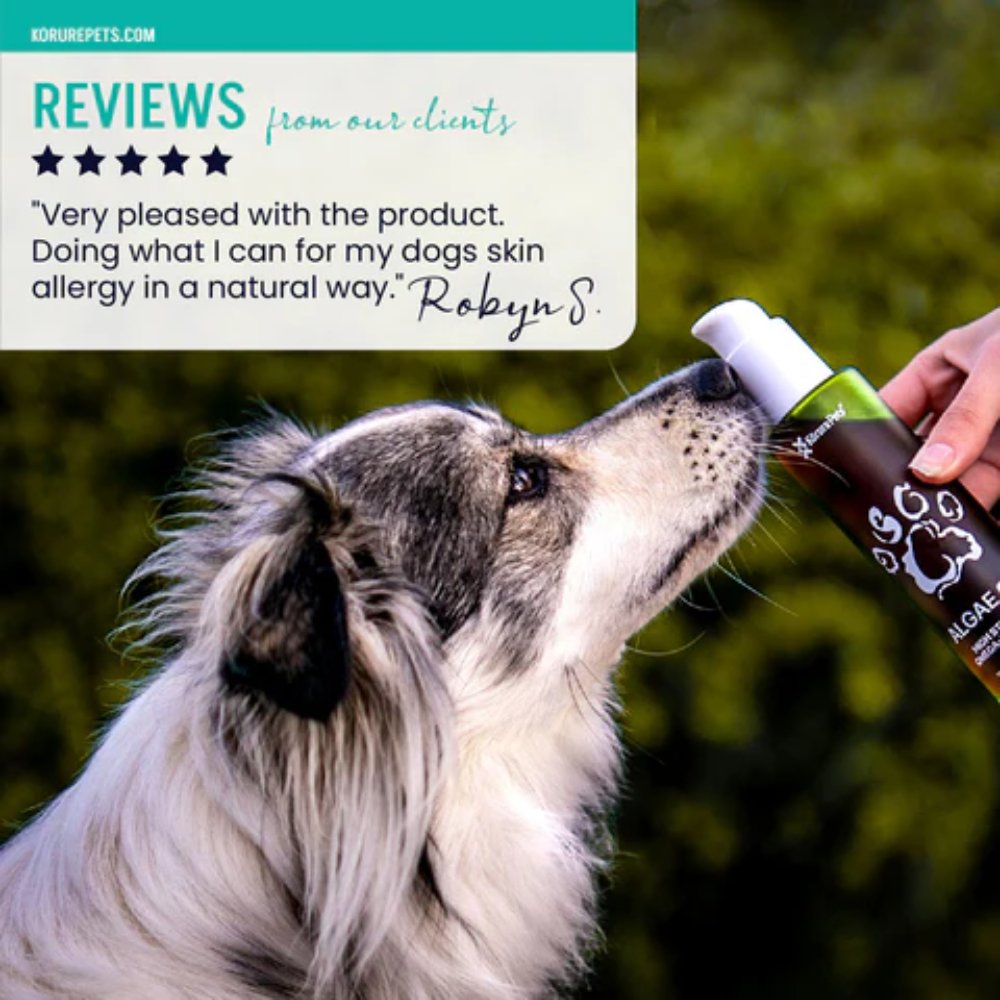 Korure Pets Algae Oil For Cats and Dogs - Image 3