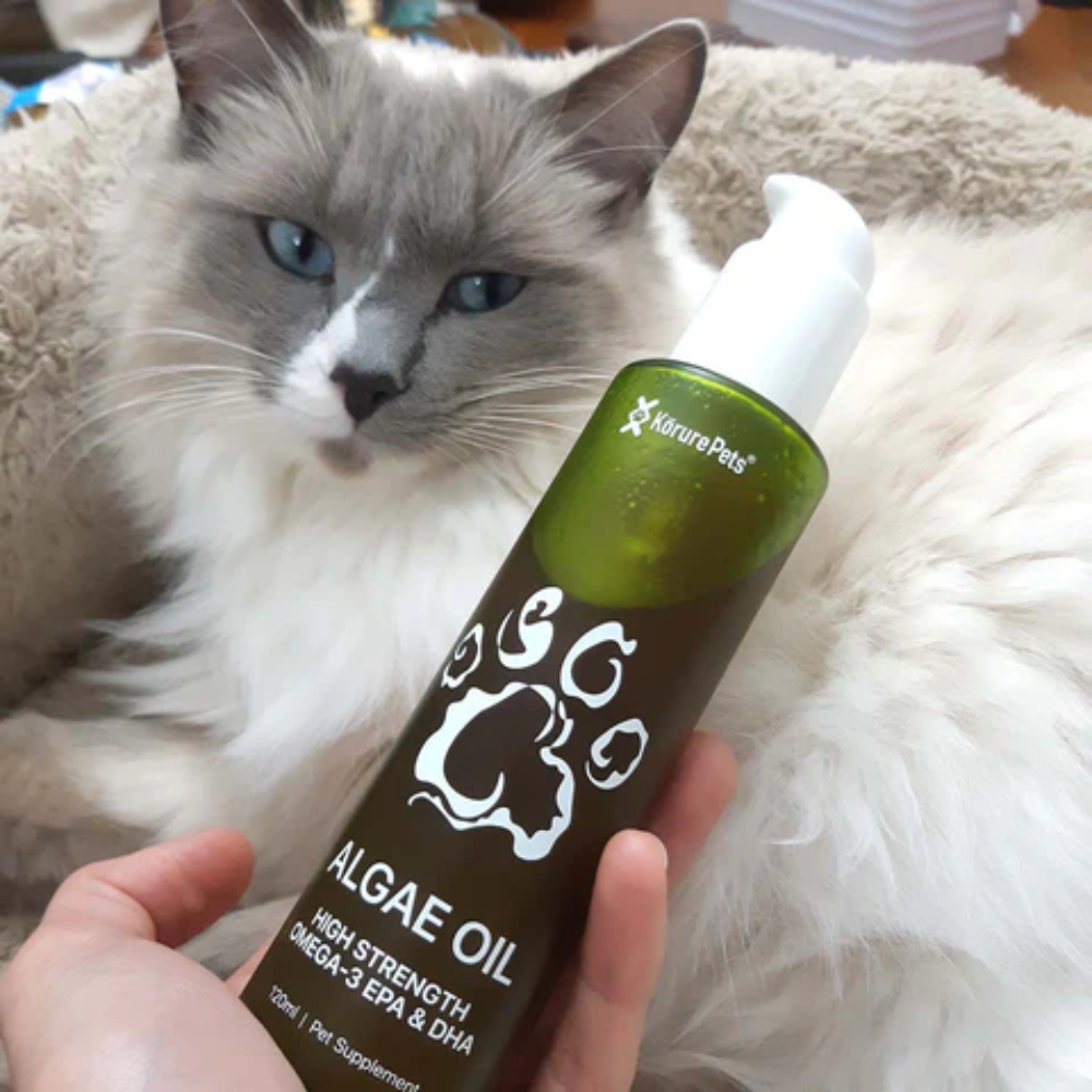 Korure Pets Algae Oil For Cats and Dogs - Image 4